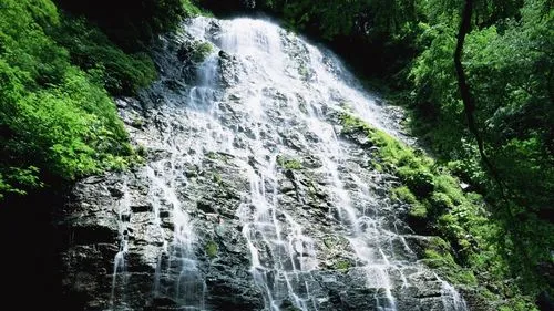高效高效高效